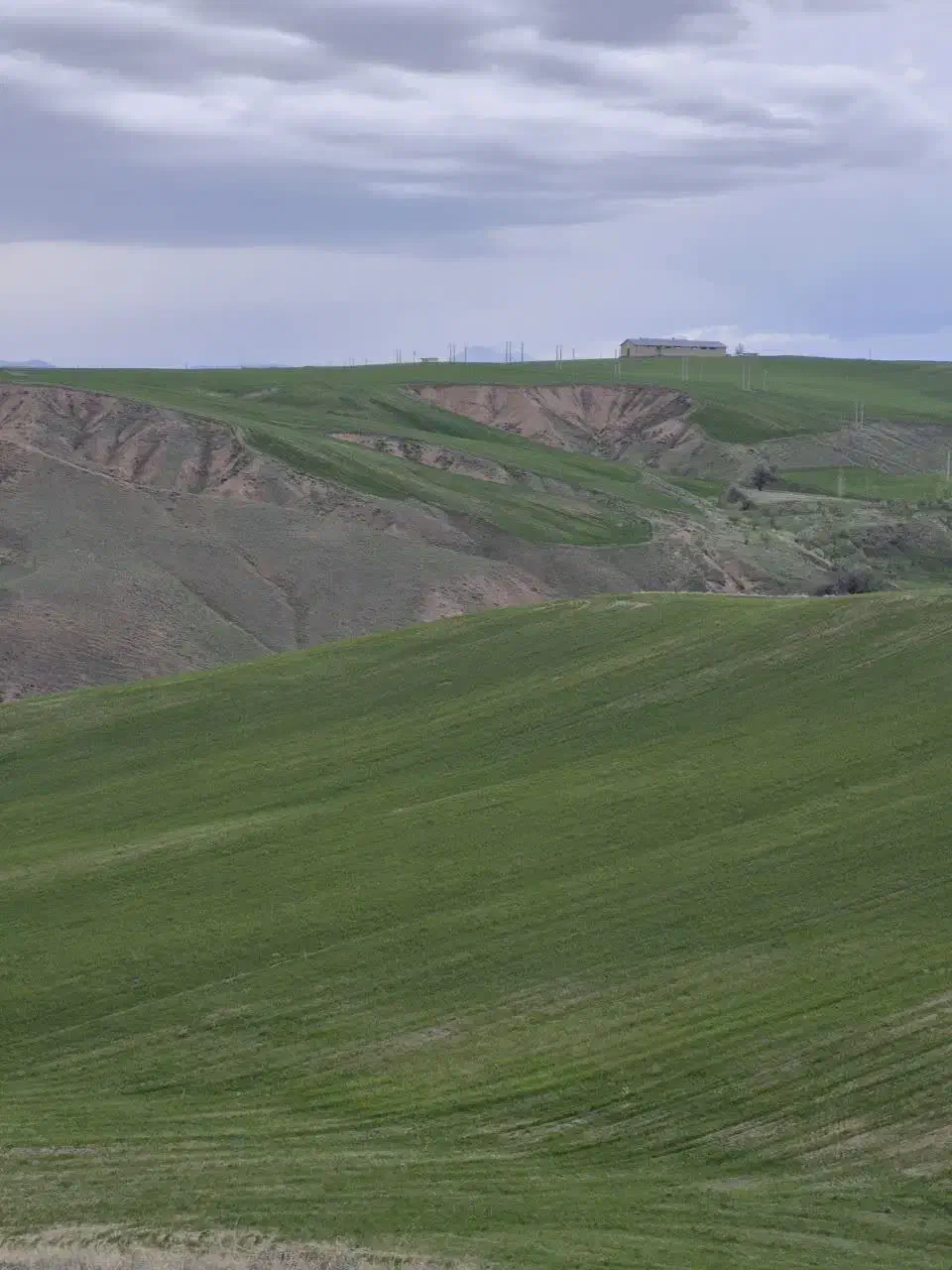 زمین کشاورزی وباغ با آب دائمی|اجارهٔ دفتر صنعتی، کشاورزی، تجاری|هشترود, |دیوار