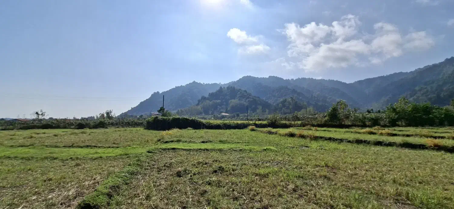 زمین ویلایی با ویو رویایی دریا و جنگل|فروش زمین و ملک کلنگی|چوبر, |دیوار