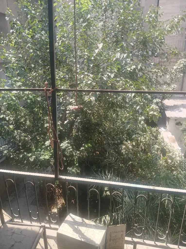 سهروردی شمالی مطهری ۲۱۰ متر بر ۱۰ ۵طبقه ساز|فروش زمین و ملک کلنگی|تهران, عباسآباد|دیوار