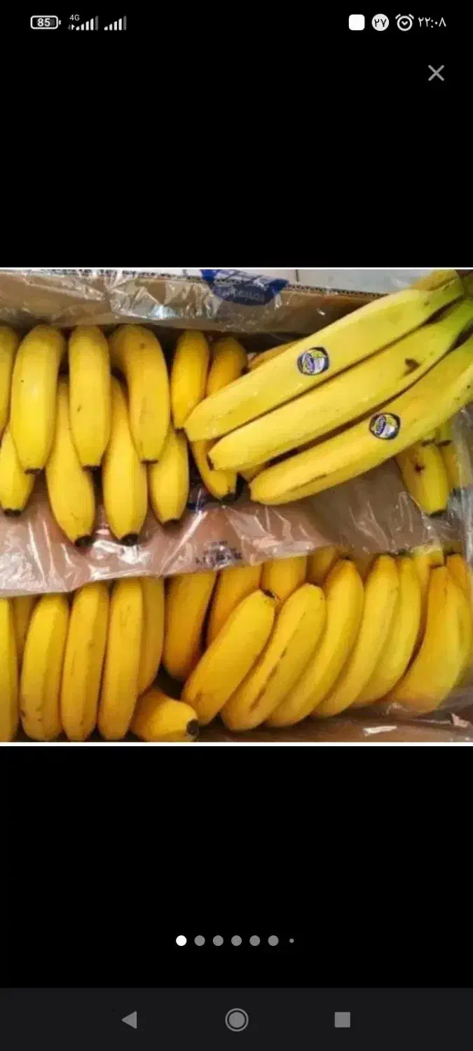 حراج موز فیلیپین اکوادور|حراج|قائم‌شهر, |دیوار