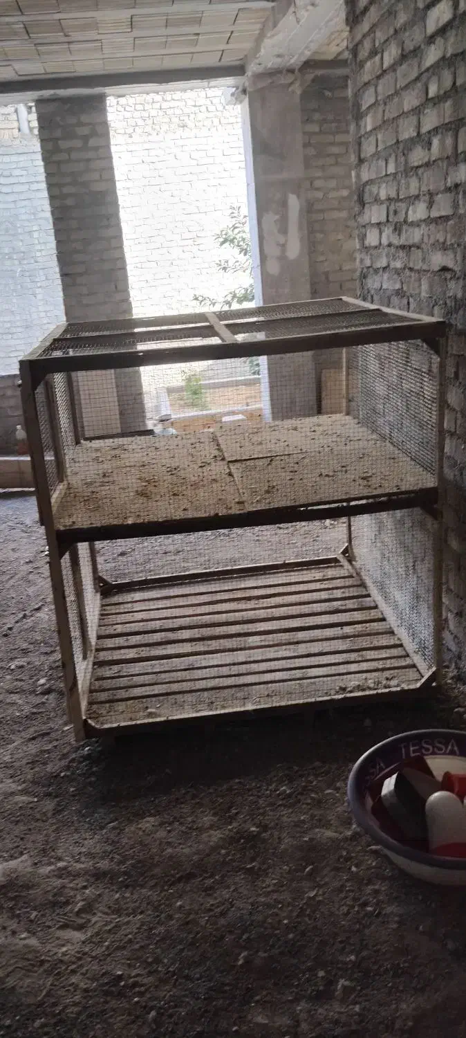 قفس پرندگان|لوازم جانبی حیوانات|مهریز, |دیوار