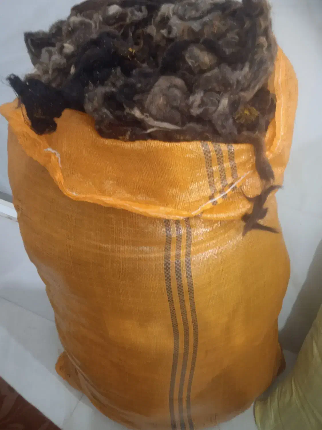 پشم|رختخواب، بالش، پتو|مهاباد (آذربایجان غربی), |دیوار