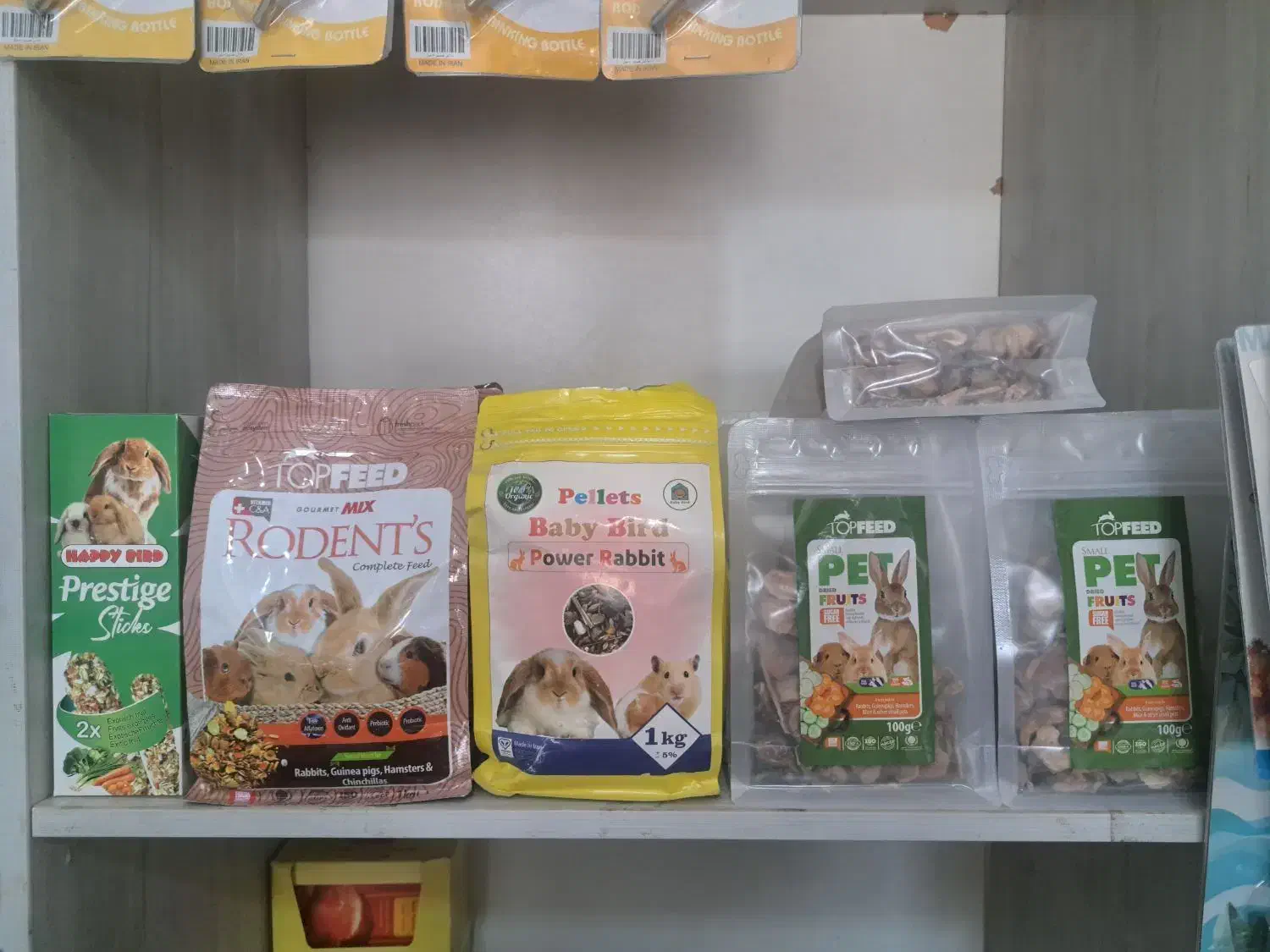 همستر.خوکچه.خرگوش.موش سوری|لوازم جانبی حیوانات|زنجان, |دیوار