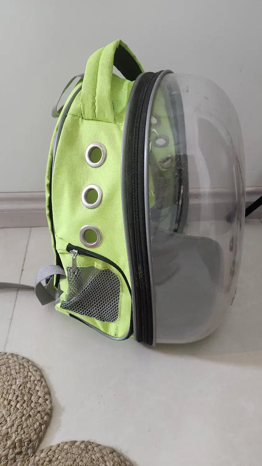 کوله حمل حیوانات|لوازم جانبی حیوانات|مشهد, آبادگران|دیوار