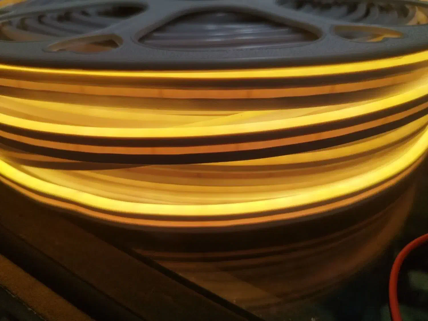 ریسه نئون|ریسه و چراغ تزئینی|قم, باغ شریفی|دیوار