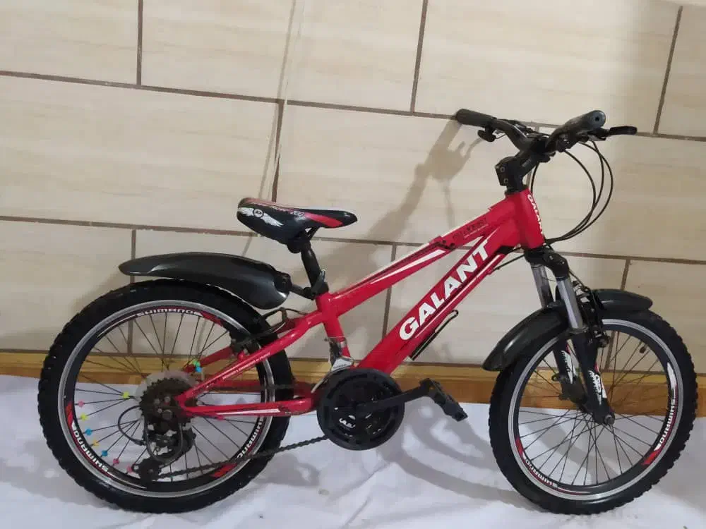 دوچرخه کمکدار تمیز تمیز دنده ای|دوچرخه، اسکیت، اسکوتر|آبادان, |دیوار