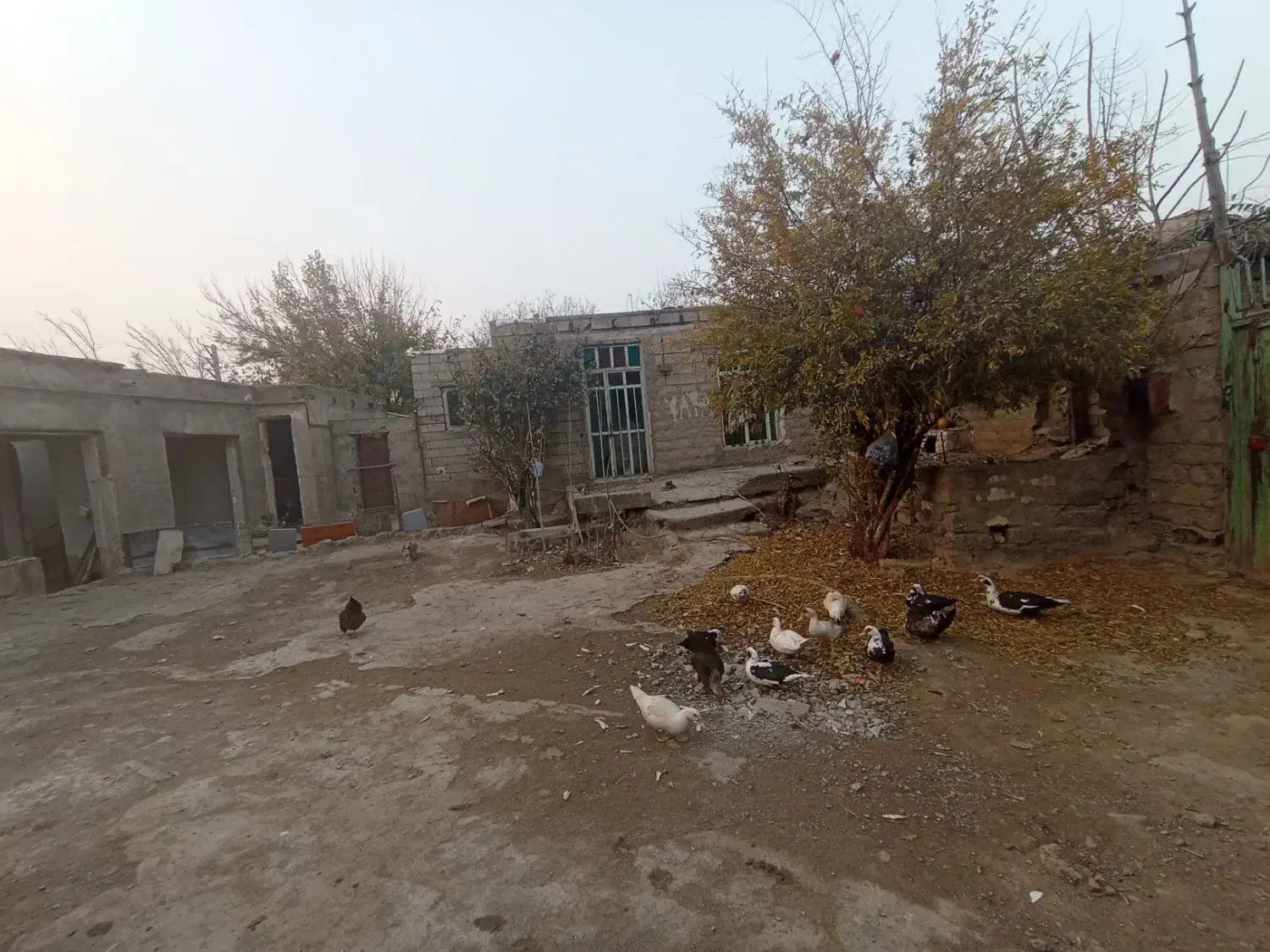 کلنگی|فروش زمین و ملک کلنگی|پارس‌آباد, |دیوار