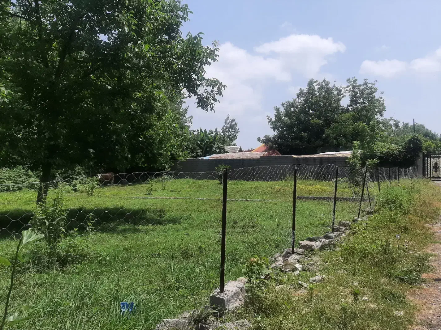 فروش زمین 400 متری مسکونی روستایی چشم انداز جنگلی|فروش زمین و ملک کلنگی|صومعهسرا, |دیوار