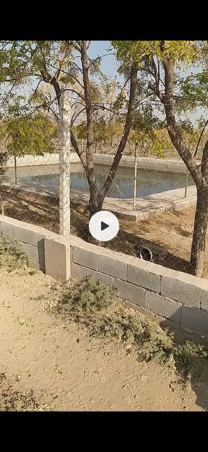 فروش باغ 1000متری|فروش زمین و ملک کلنگی|ساوه, |دیوار