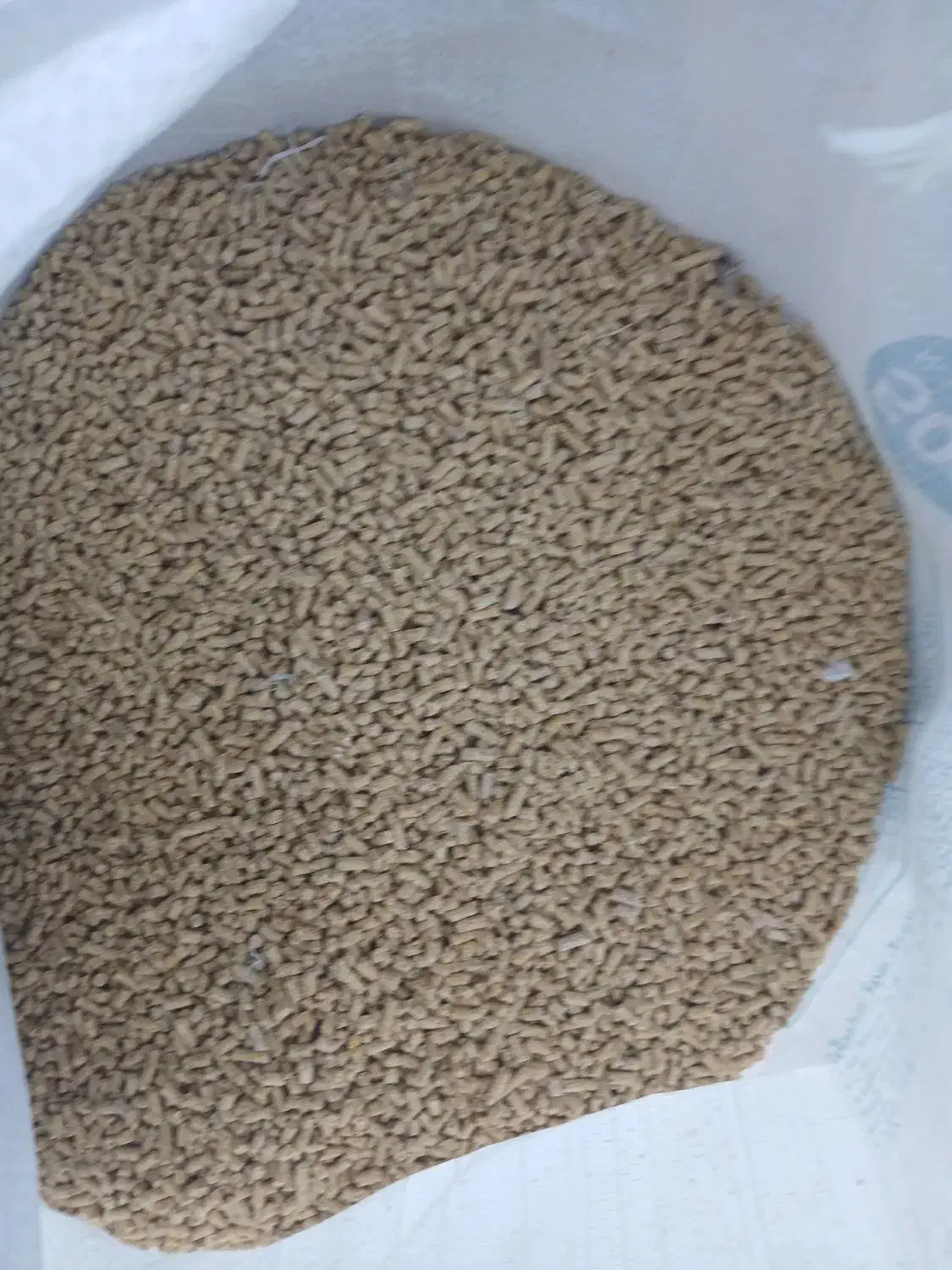 خوراک مرغی میان دان ۲|حیوانات مزرعه|کدکن, |دیوار