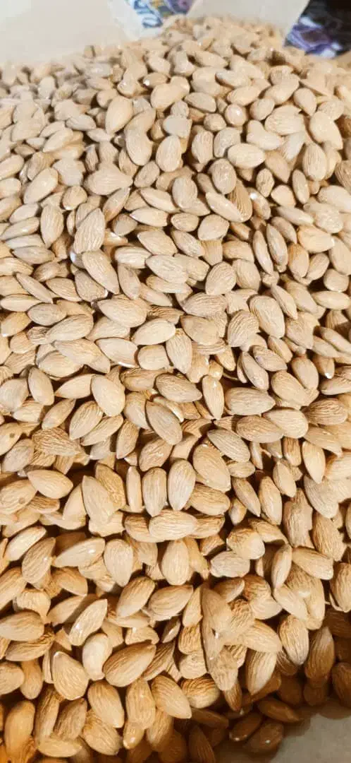 بادام درجه 1|خوردنی و آشامیدنی|عجب شیر, |دیوار