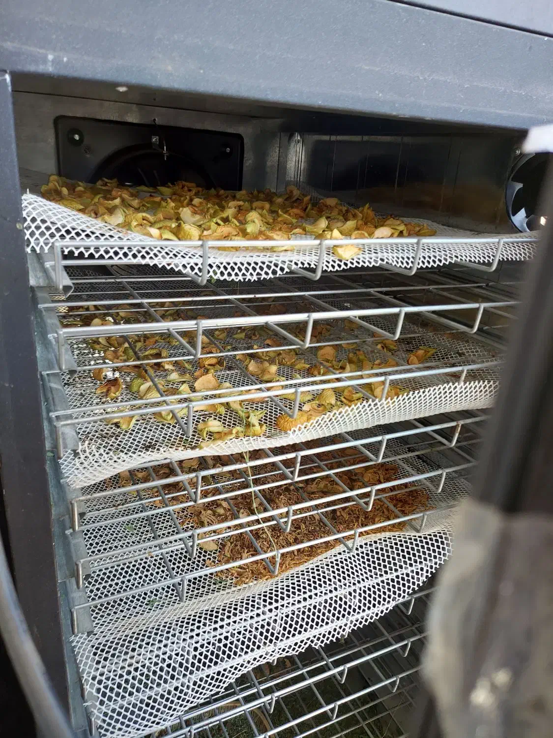 دستگاه خشک کن میوه و سبزی نیم صنعتی|سایر لوازم برقی|کرمان, |دیوار