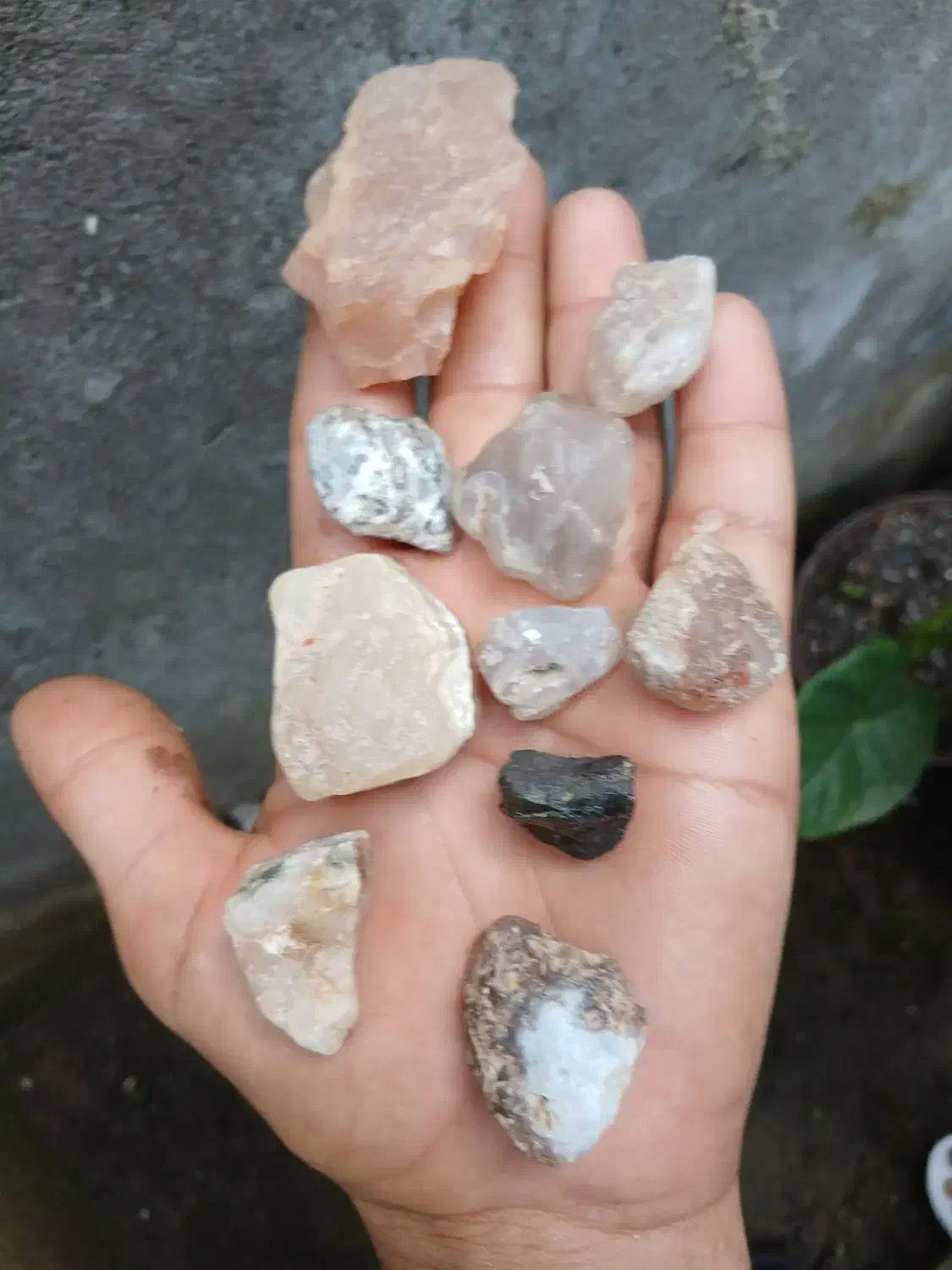 سکه سنگ|کلکسیون سکه، تمبر، اسکناس|سنگر, |دیوار