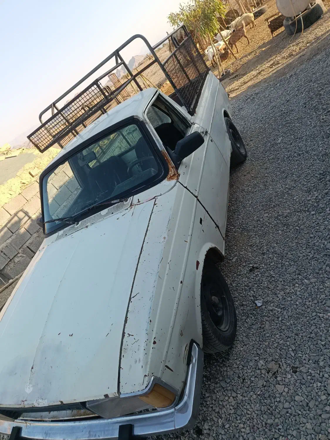 پیکان وانت 84|خودرو سواری و وانت|ارزوئیه, |دیوار