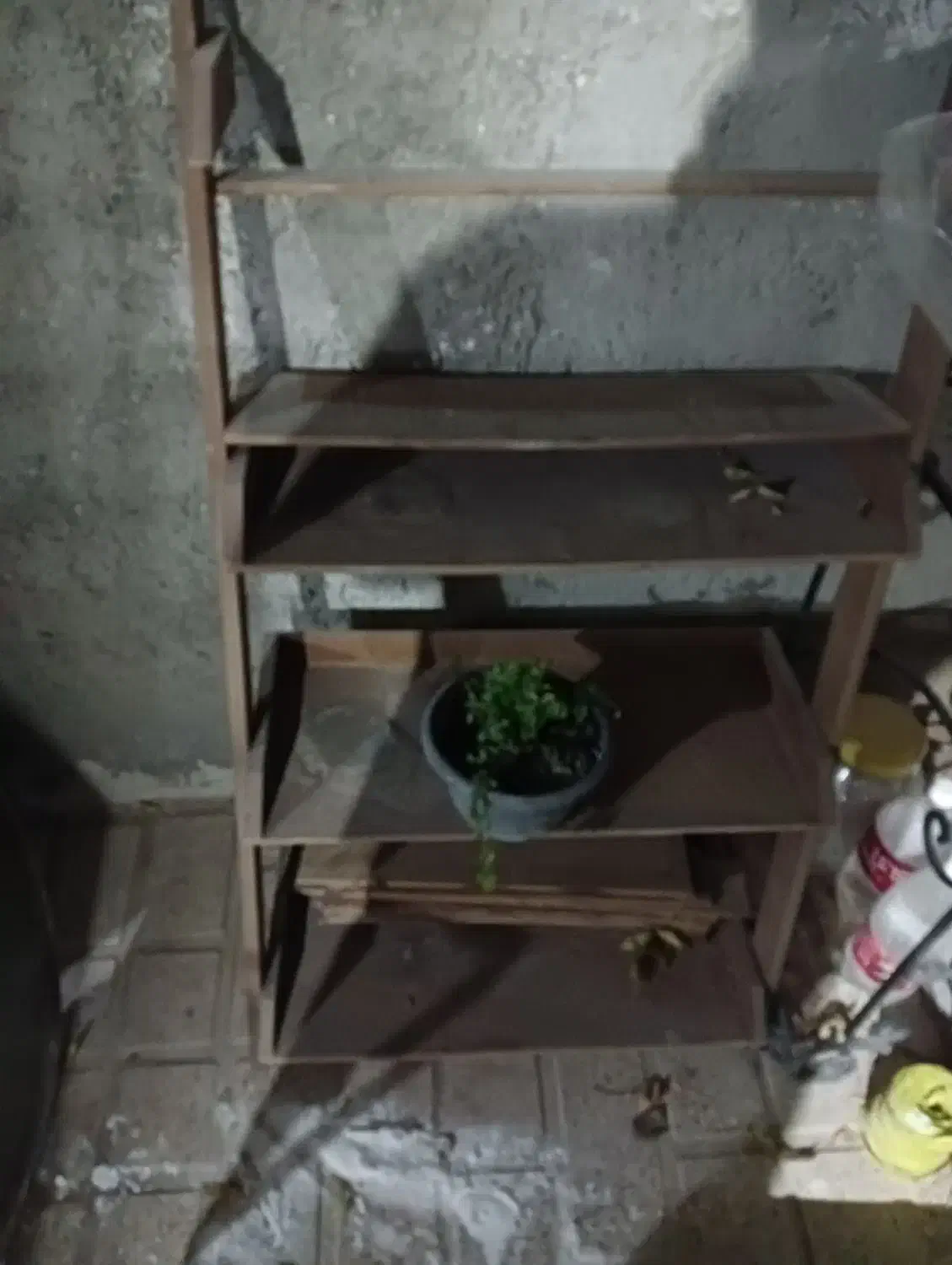 شلف جا گلدانی|کتابخانه، شلف، قفسههای دیواری|بومهن, |دیوار