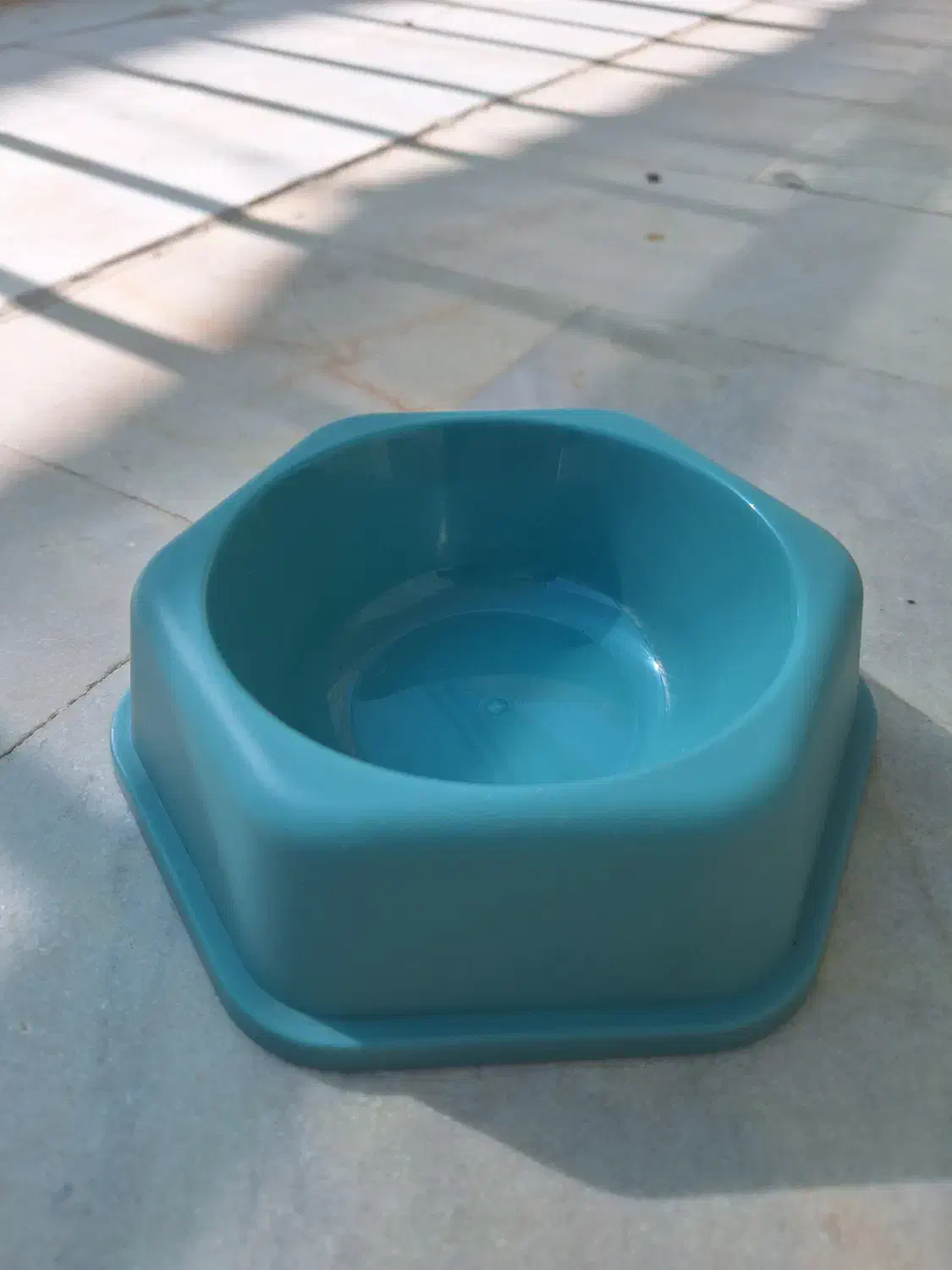 ظرف غذا برای گربه|لوازم جانبی حیوانات|اصفهان, سرچشمه|دیوار