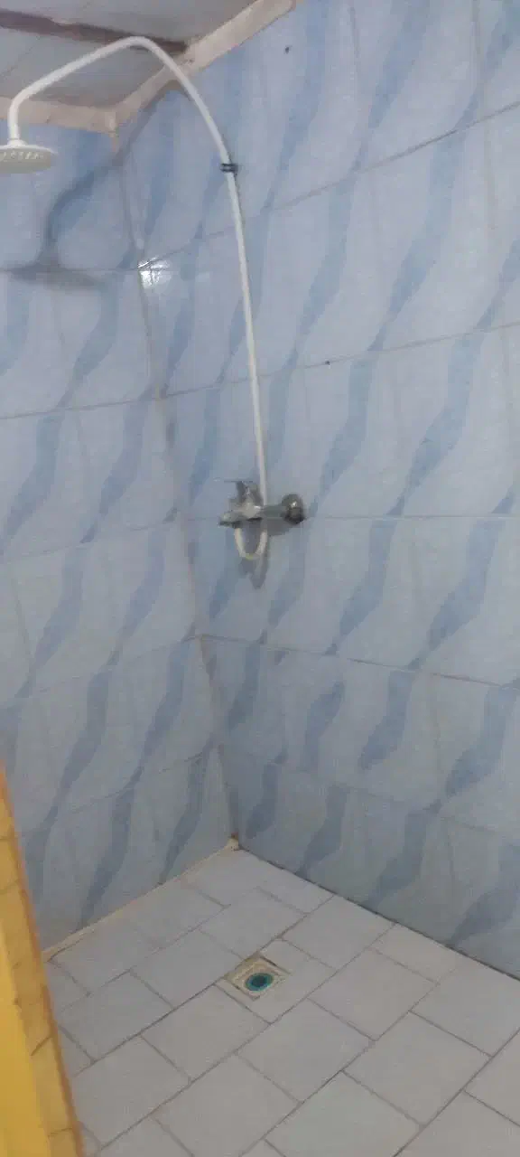 رهن واجاره|اجارهٔ آپارتمان|قرچک, شهرک طلائیه|دیوار