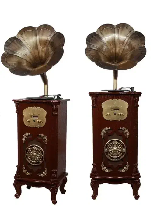 گرامافون ایستاده به قیمت کارخانه|سیستم صوتی خانگی|تربتحیدریه, کاشانی|دیوار