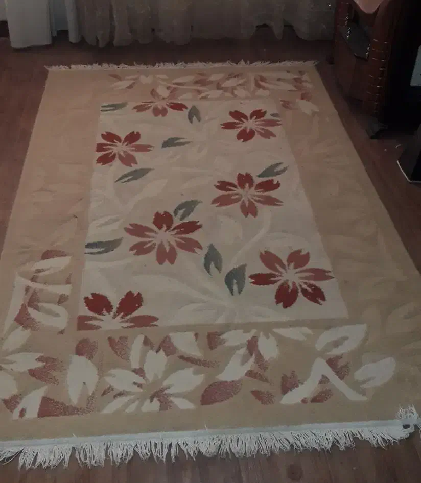 ۶عدد گلیم ۲تا۶ متر دوتا ۴ متر و۲تا سه متری سالم|گلیم، جاجیم، گبه|فولادشهر, فولادشهر|دیوار