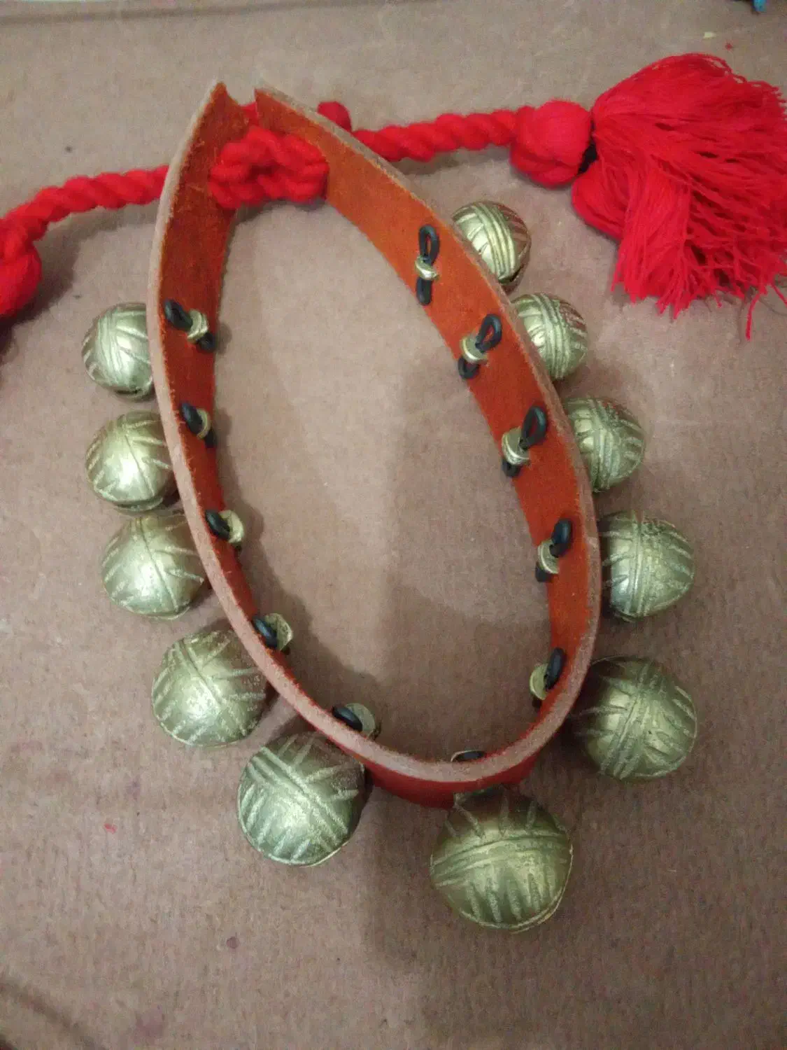 ۱۱عدد قورچه سایز آخر درشتی خط دار صدا عالی دور صدا|لوازم جانبی حیوانات|زنده رود, |دیوار