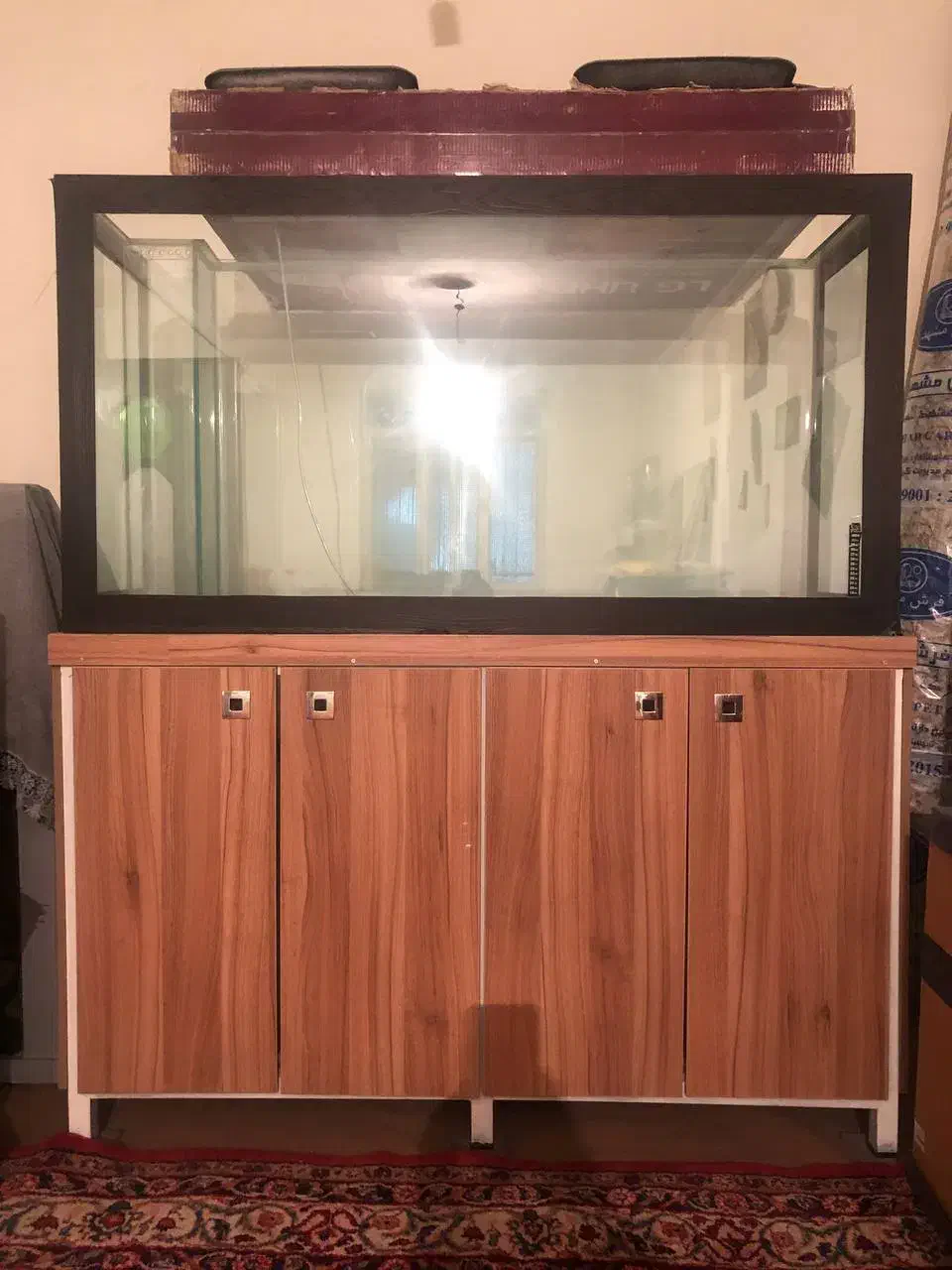 اکواریوم|ماهی|همدان, |دیوار