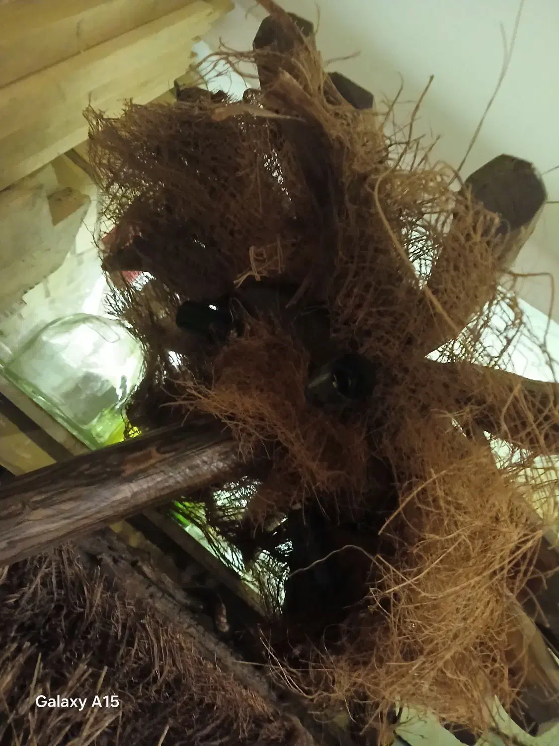 لوستر چوبی|لوستر و چراغ آویز|تهران, گلاب دره|دیوار