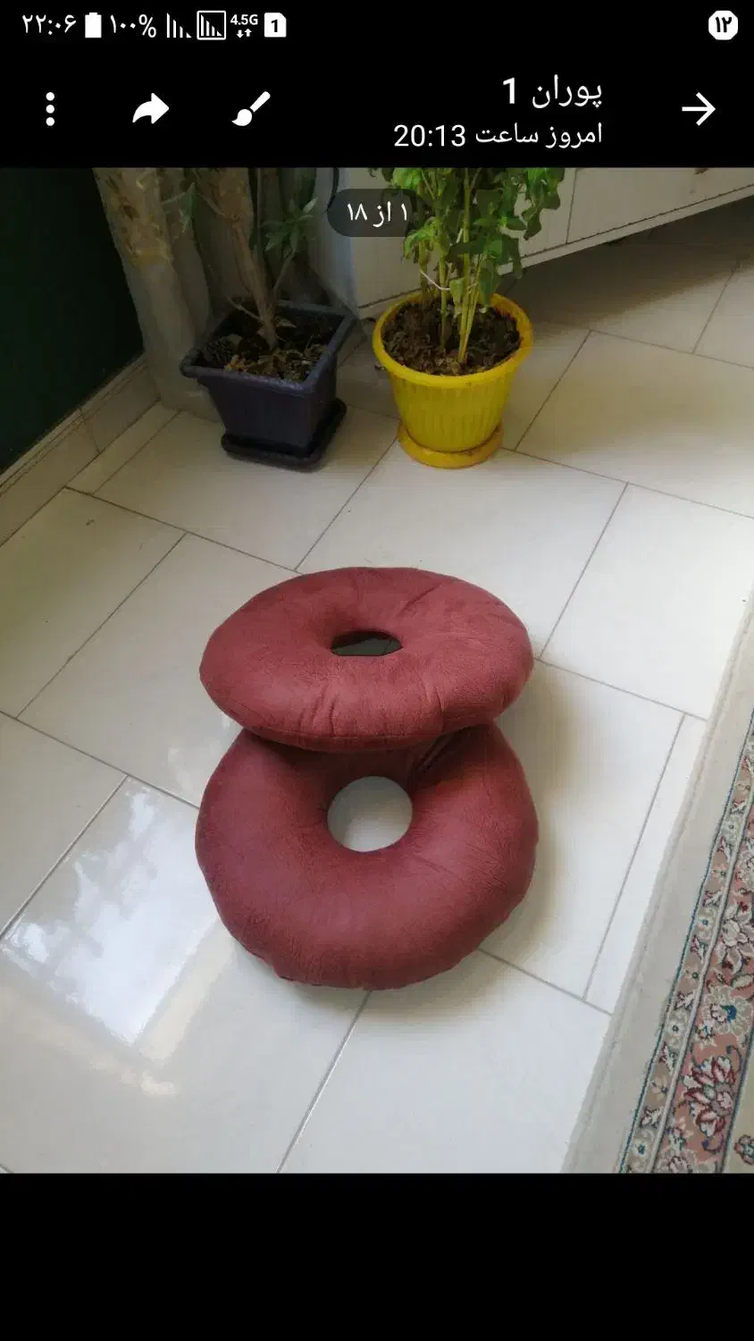 نشیمن طبی|رختخواب، بالش، پتو|مشهد, گلبرگ|دیوار