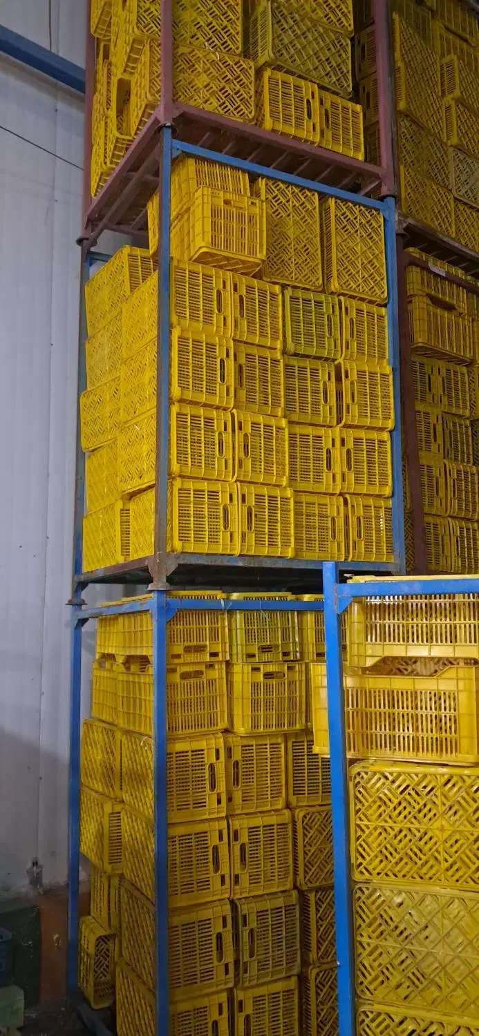 سبد مادر|ظروف نگهدارنده، پلاستیکی، یک‌بارمصرف|محمدشهر, زیبادشت|دیوار