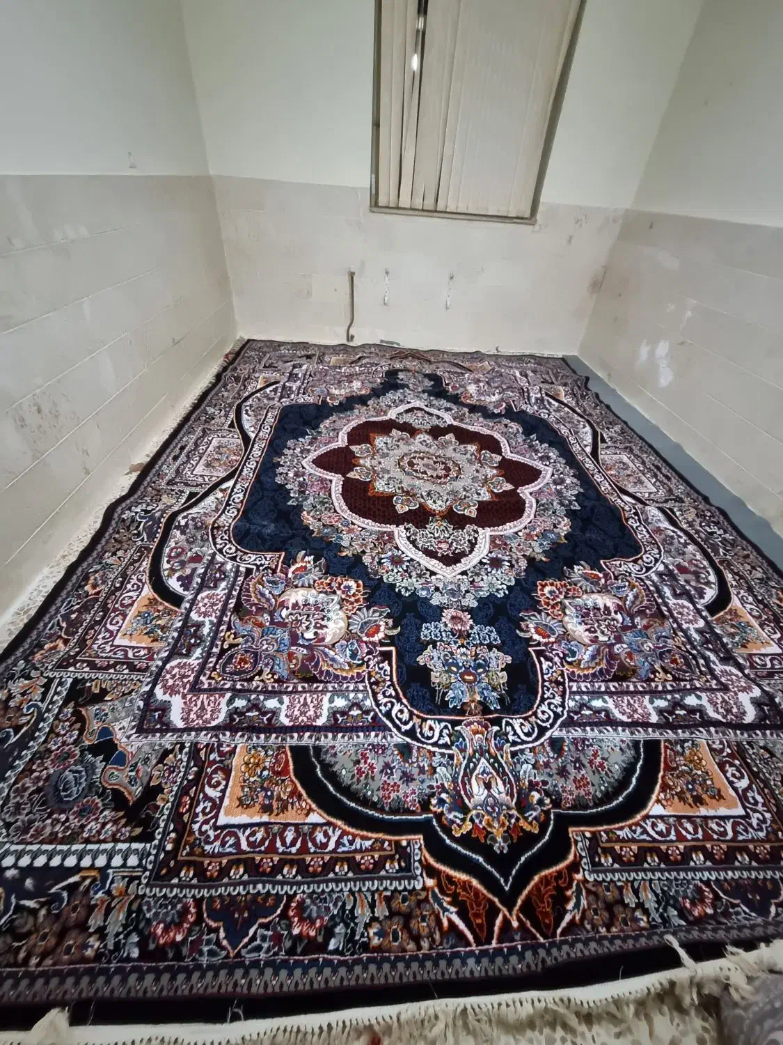 فرش ۱۲متری|فرش|انگوران, |دیوار