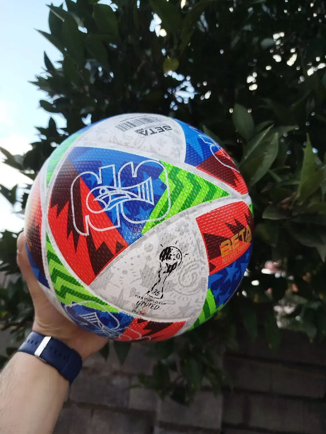 ورزشی|ورزش‌های توپی|سنگر, |دیوار