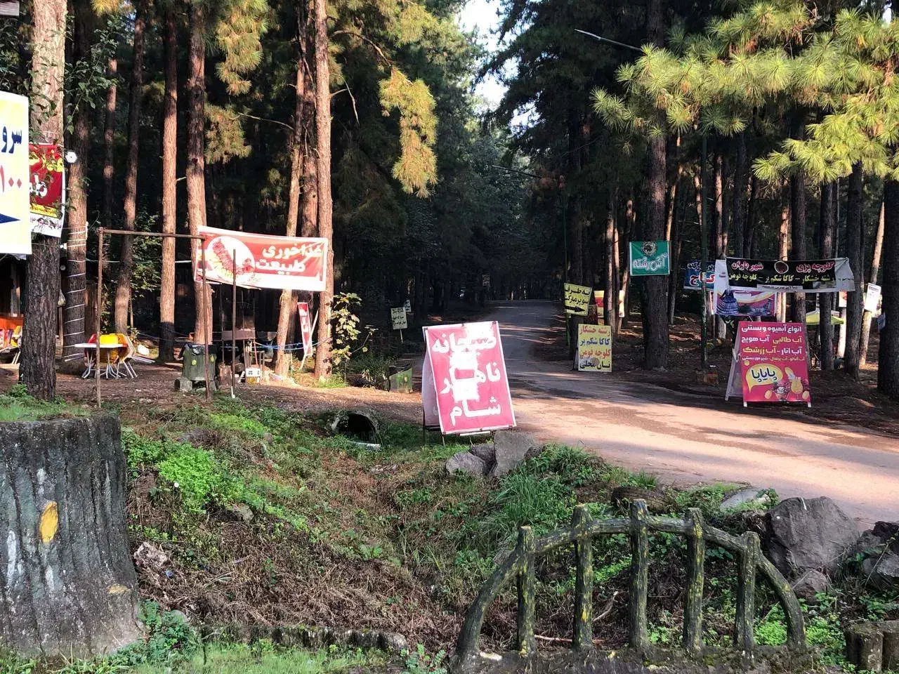 نیروی ساده خانم جهت کار در عکاسی|استخدام هنری و رسانه|سنگر, |دیوار