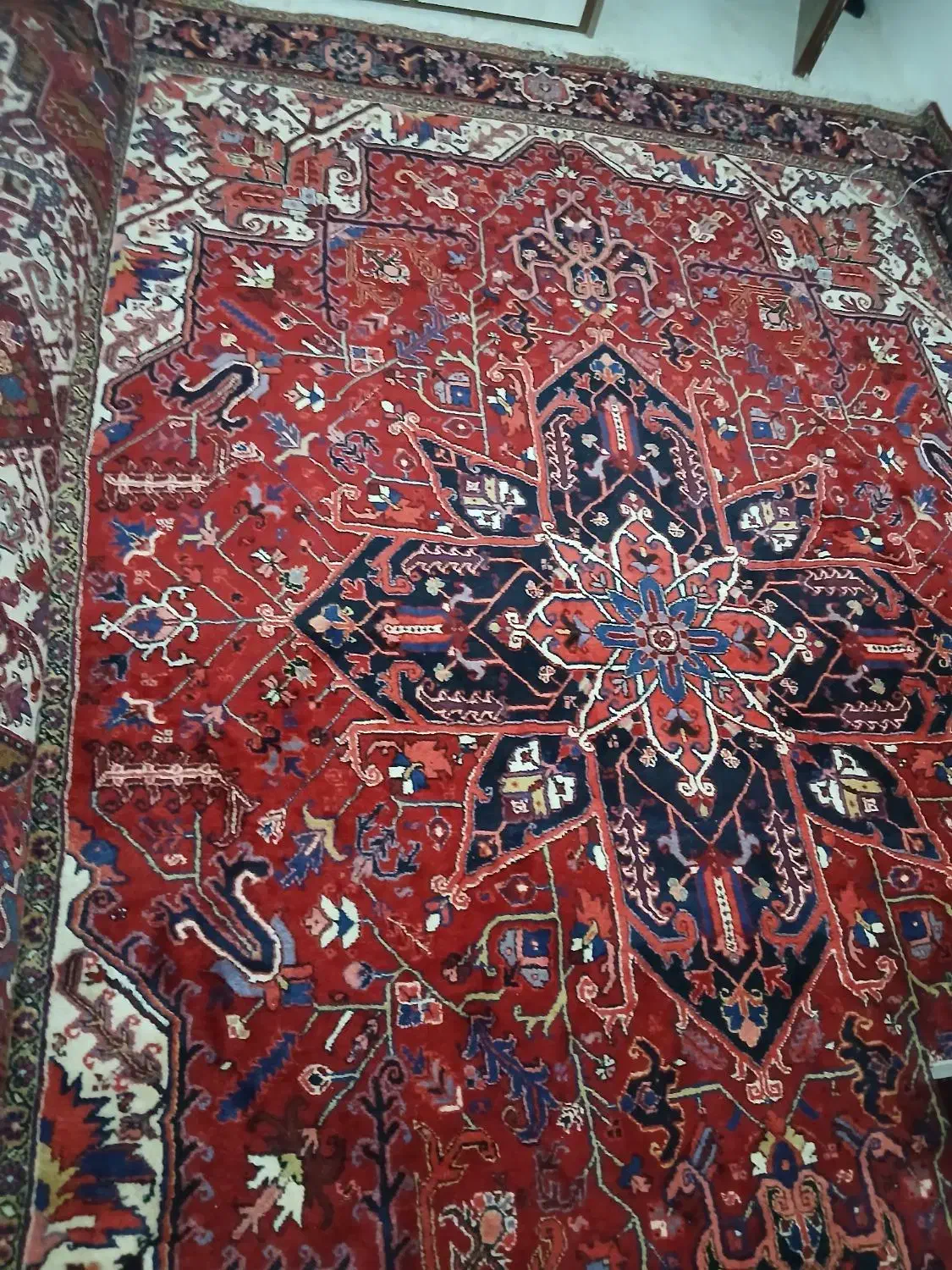 فرش اصل هریس ۹ متری|فرش|تبریز, |دیوار