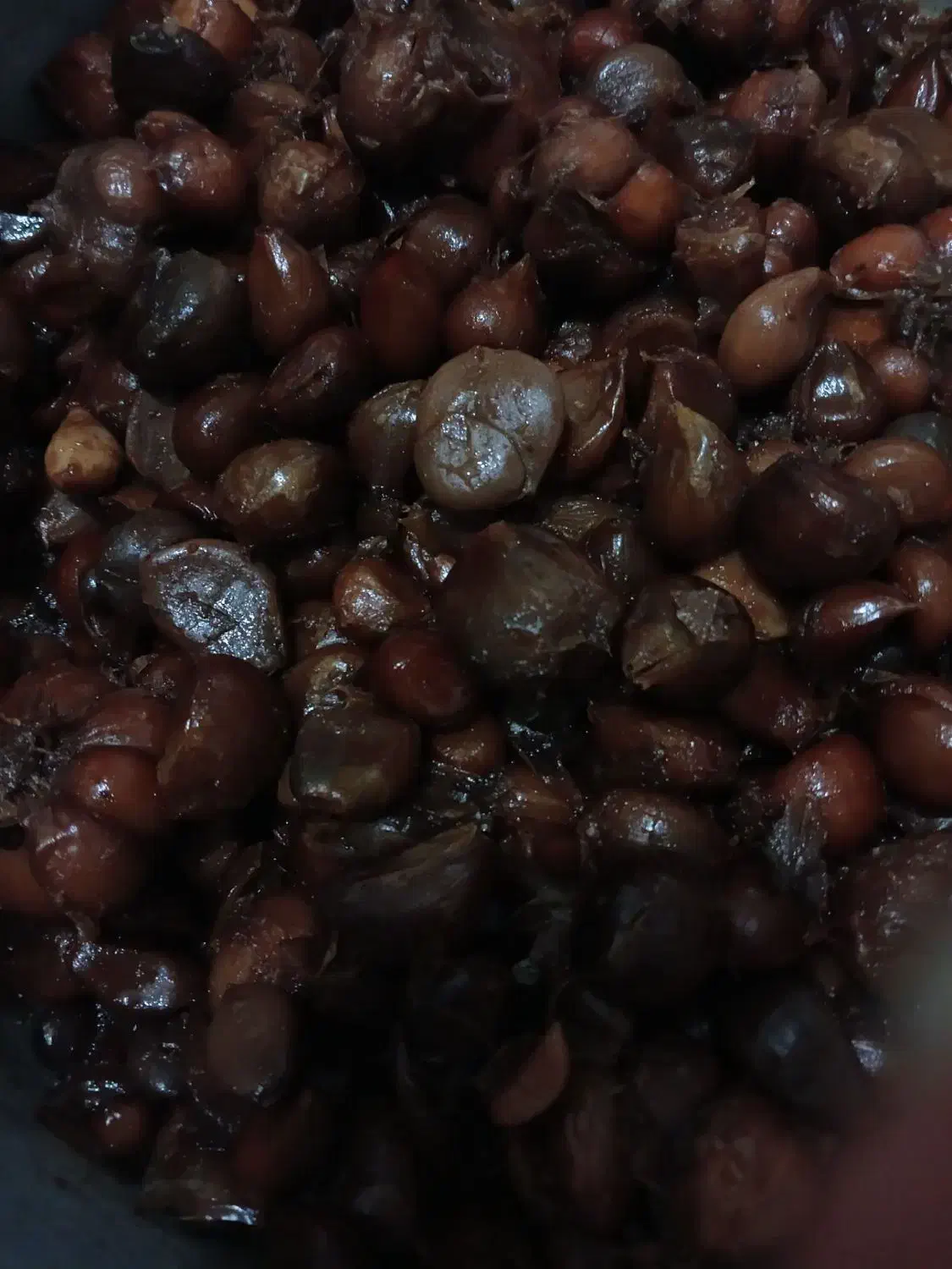 سیر ترشی ۸ ساله|خوردنی و آشامیدنی|قم, صفائیه|دیوار