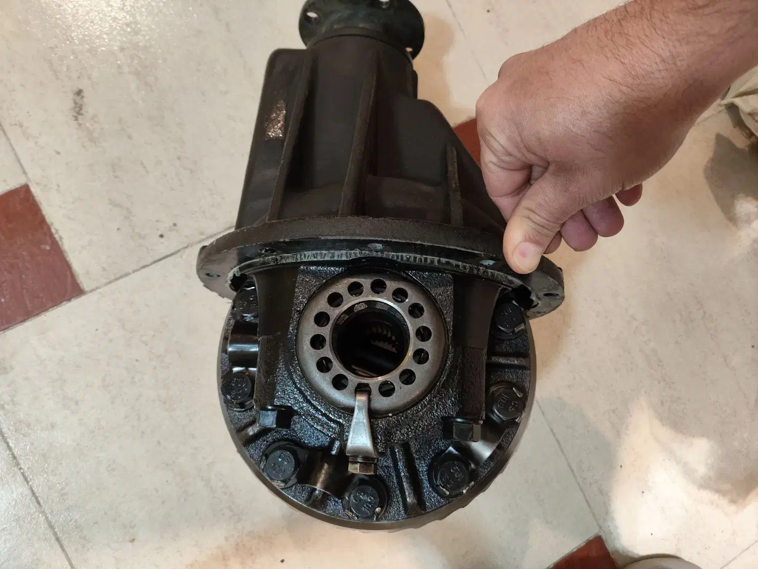 کله گاوی دیفرانسیل وینگل|قطعات یدکی و لوازم جانبی|پرند, فاز ۲|دیوار