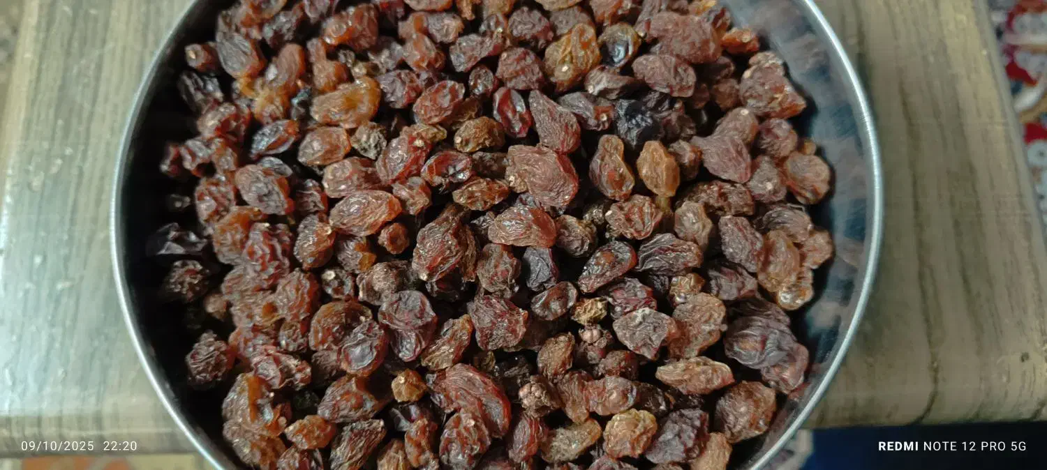 مویز & ممیز|خوردنی و آشامیدنی|سبزوار, گلشن|دیوار