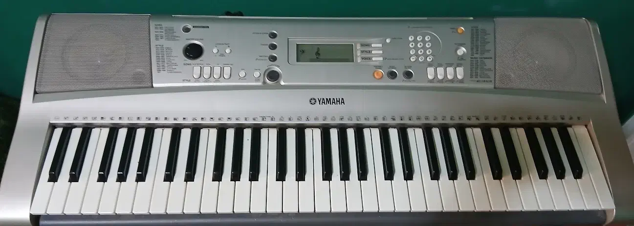 ارگ یاماها|پیانو، کیبورد، آکاردئون|فردیس, فردیس|دیوار