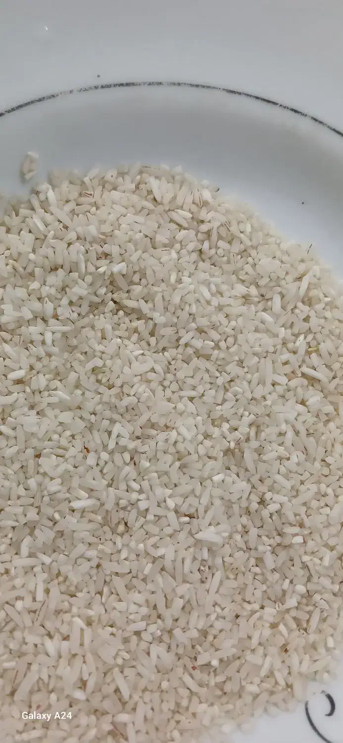 لاشه قیمت مناسب|خوردنی و آشامیدنی|اسالم, |دیوار