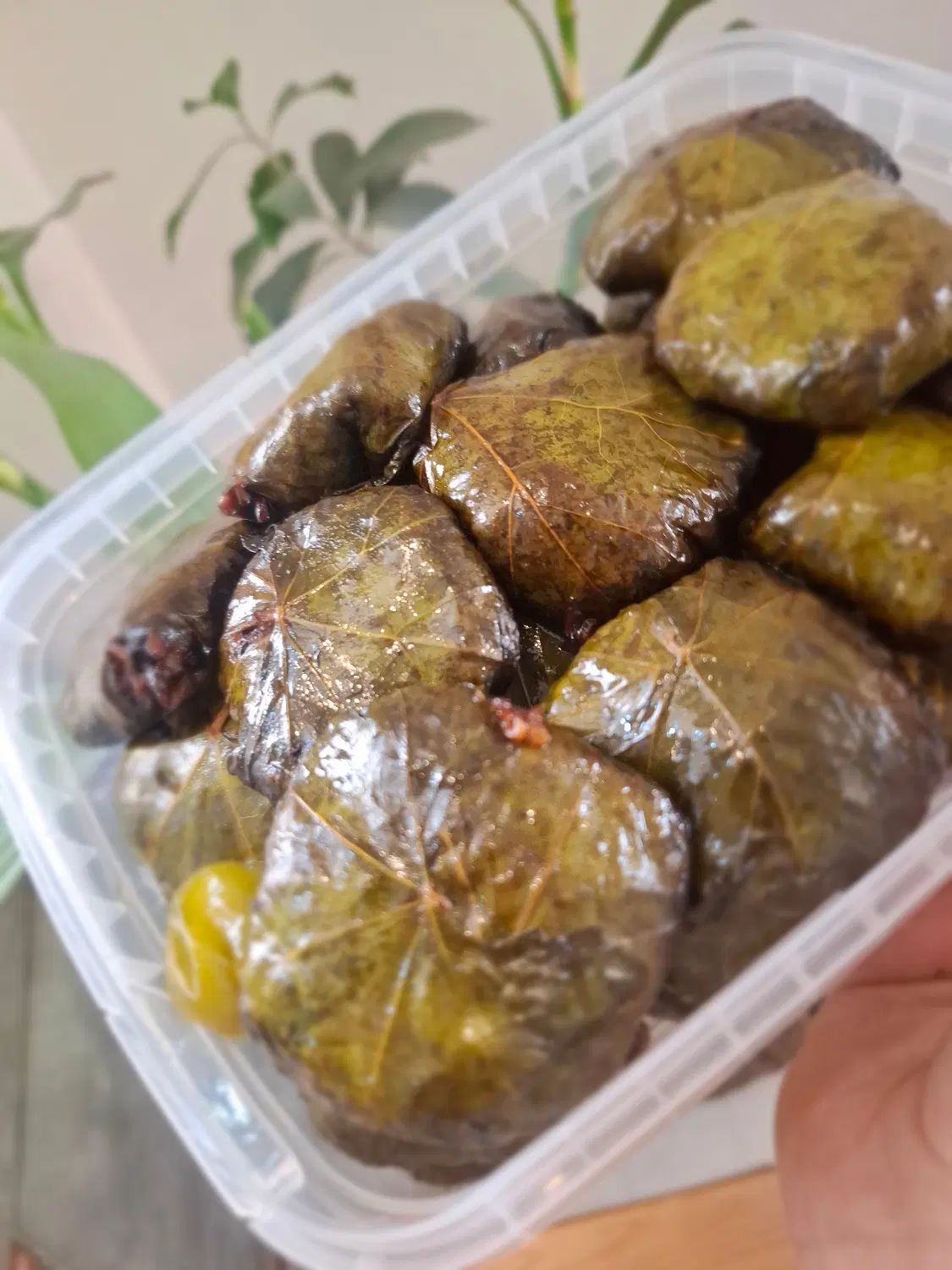 دلمه خانگی|خدمات پذیرایی، مراسم|شیراز, انجیر|دیوار