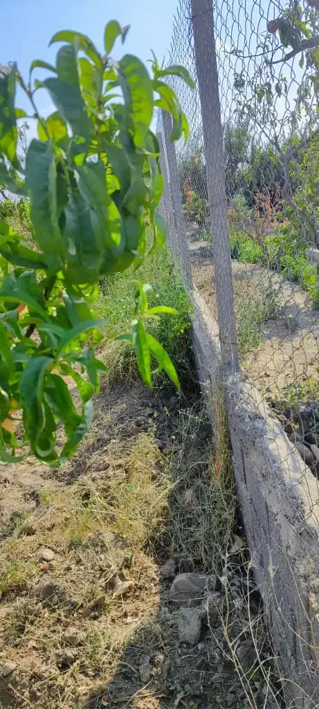 فروش ۴۴۰متری   باغچه شهرکی  در تنکمان|فروش زمین و ملک کلنگی|هشتگرد, هشتگرد قدیم|دیوار