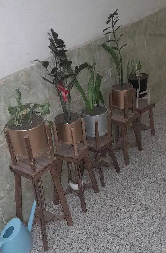 گلدان|گل و گیاه طبیعی|شیراز, مبعث|دیوار