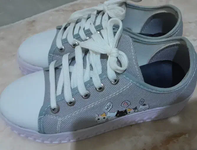 کفش|کیف، کفش، کمربند|قزوین, |دیوار