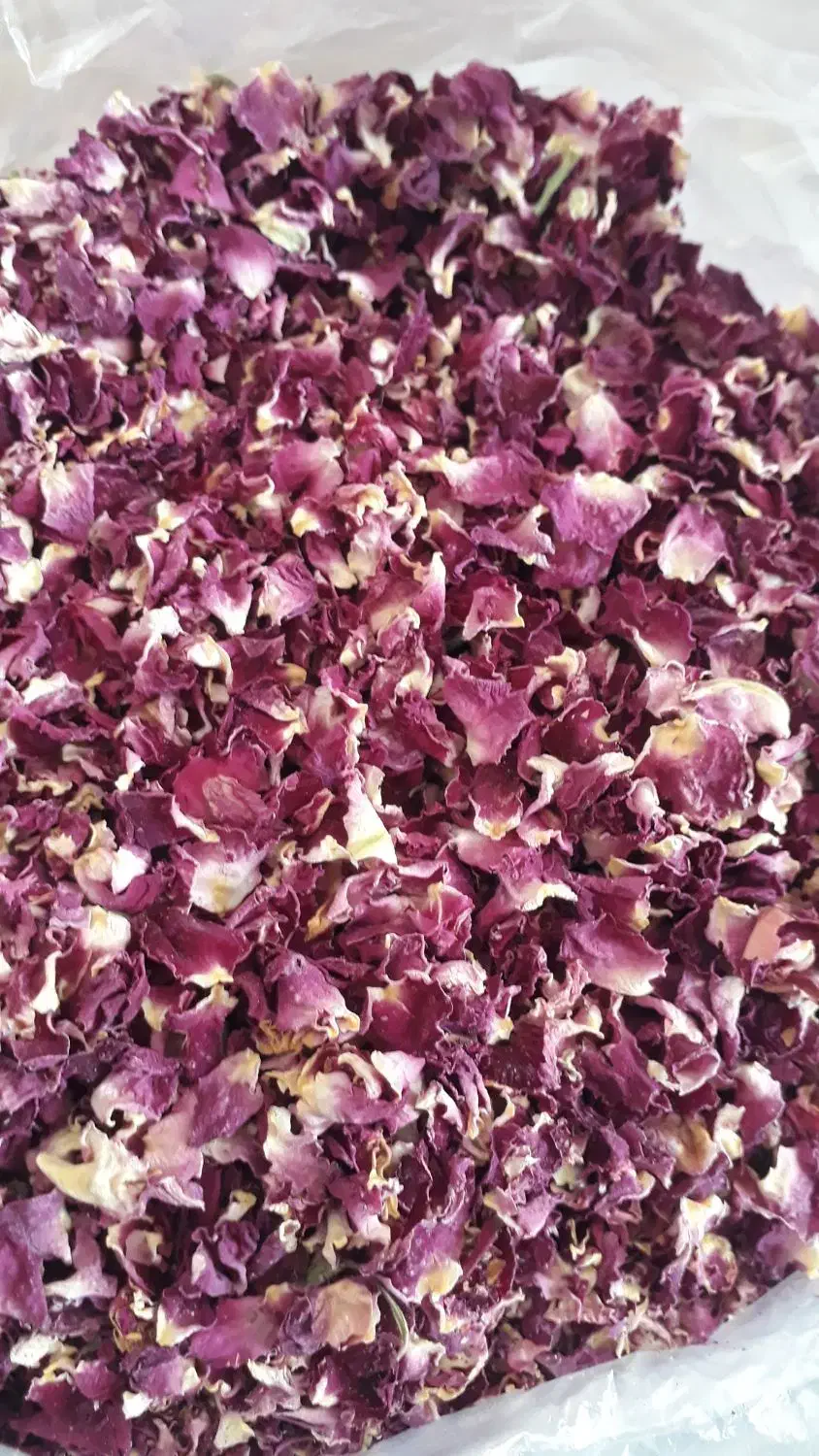 گل محمدی|خوردنی و آشامیدنی|سردرود, |دیوار