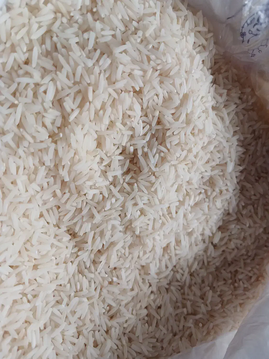 برنج دم سیای اعلا|خوردنی و آشامیدنی|شفت, |دیوار