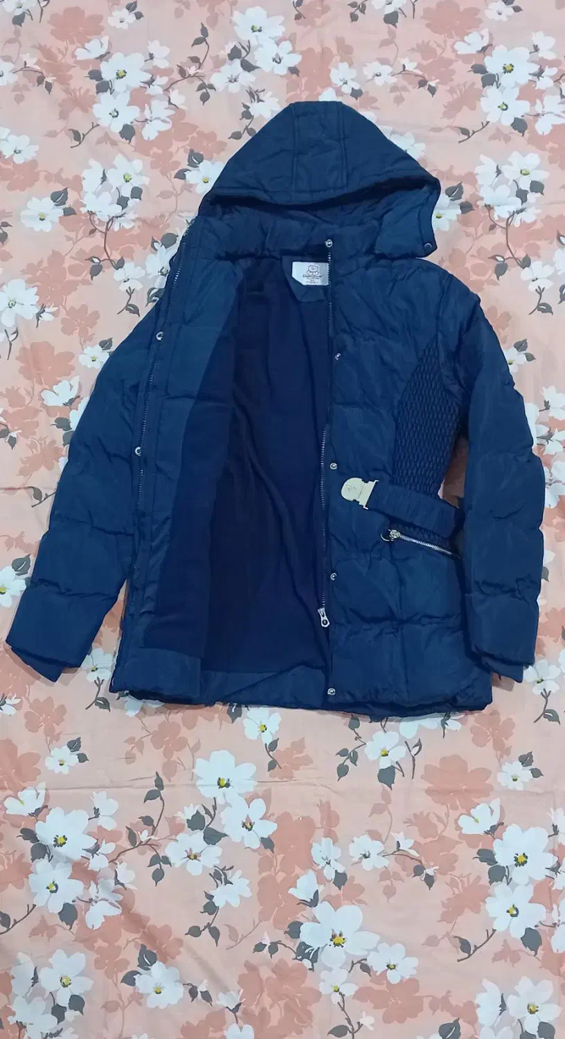 پالتو دخترانه|لباس|مهاباد (آذربایجان غربی), |دیوار