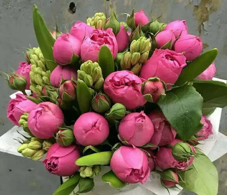 مغازه اجاره ای|اجارهٔ مغازه و غرفه|قم, شهرک فاطمیه|دیوار