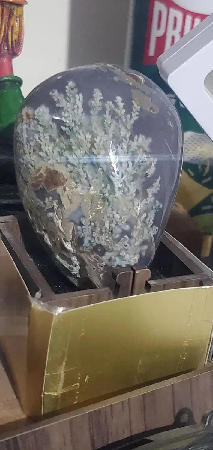 انواع نگین شجر و تسبیح سندلوس پیازی|جواهرات|ارومیه, |دیوار