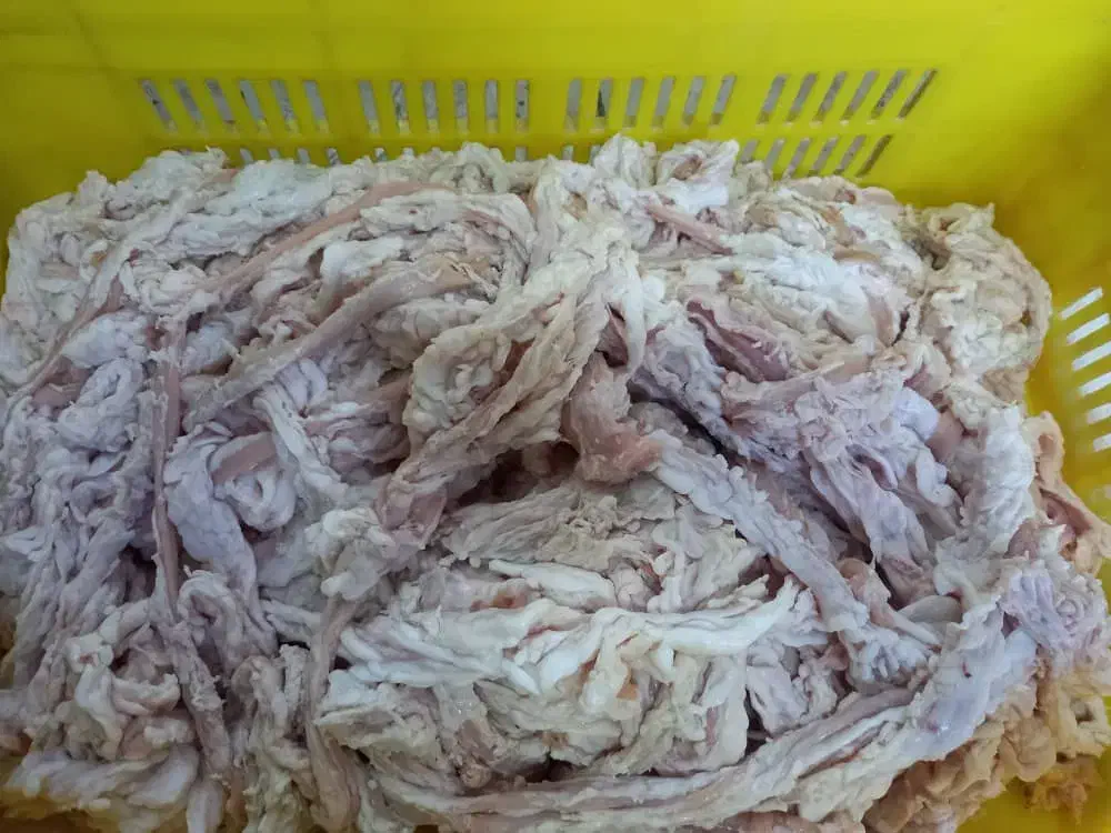 روده گوسفندی|خوردنی و آشامیدنی|تهران, جوادیه|دیوار