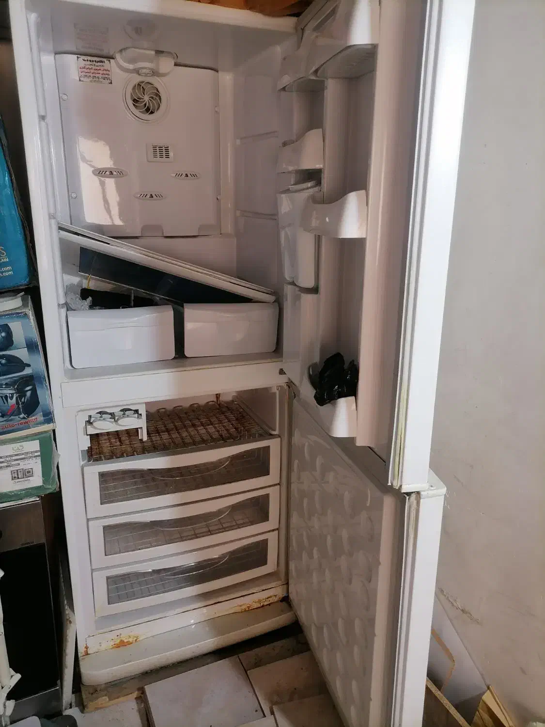 یخچال و فریزر گلبین|یخچال و فریزر|تربتحیدریه, قائم|دیوار