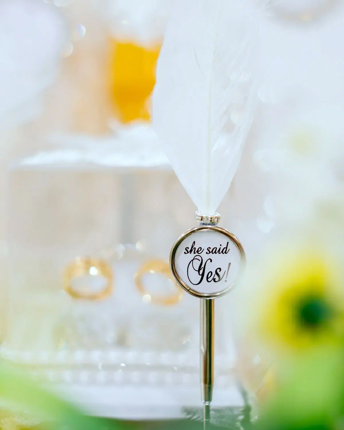 «تخفیف عکاسی ویژه فصل پاییز»|خدمات پذیرایی، مراسم|کرمان, |دیوار