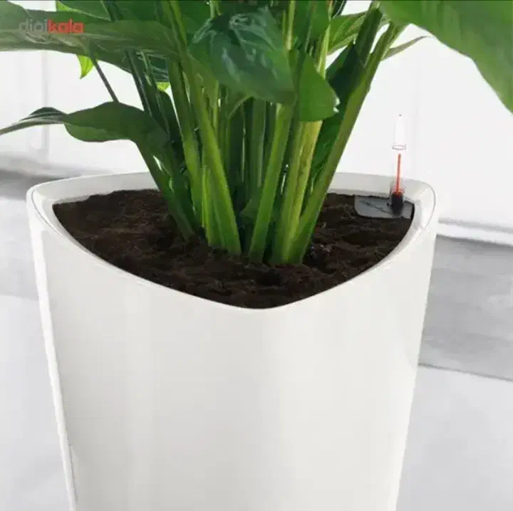 گلدان لچوزا مدل Delta 40 ارتفاع 75.5 سانتی متر|گل و گیاه طبیعی|لار, |دیوار